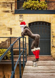 Kerstsfeer in Valkenburg