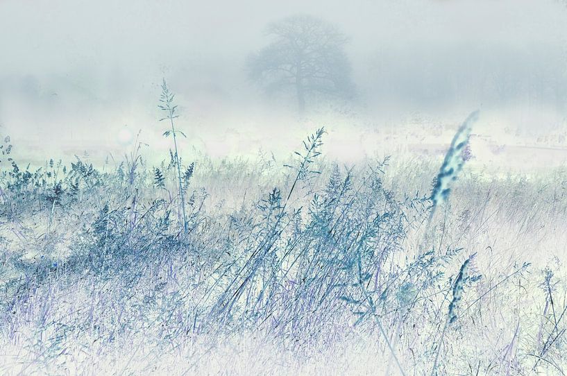 Paysage d'hiver par Corinne Welp