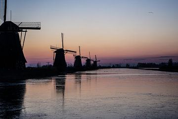 winter op de kinderdijk