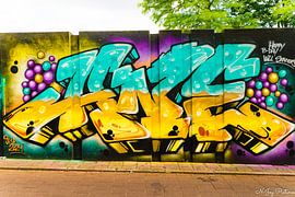 Street ARt the Bear Pit "Step in The Arena" Eindhoven by N-Joy Pictures