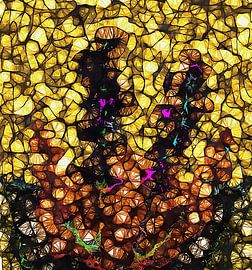 From the Flower Border 4