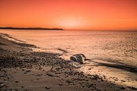 Quand j'y suis presque