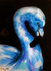 Flamant bleu. Oiseaux ( 9 )