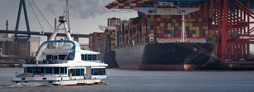 Havenveerboot en containerschip in de haven van Hamburg