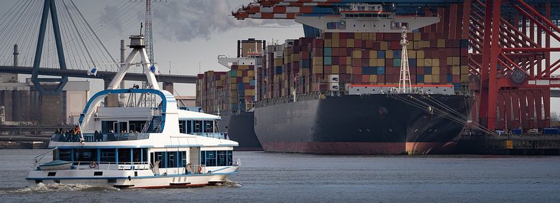 Harbour ferry and container ship in the port of Hamburg by Jonas Weinitschke