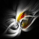 Twirl van Ingrid Van Damme fotografie thumbnail