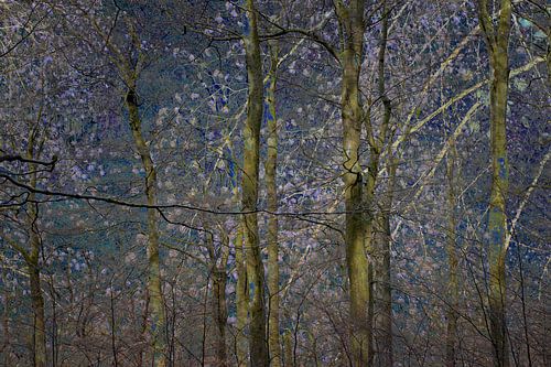 forêt d'un conte de fées oriental