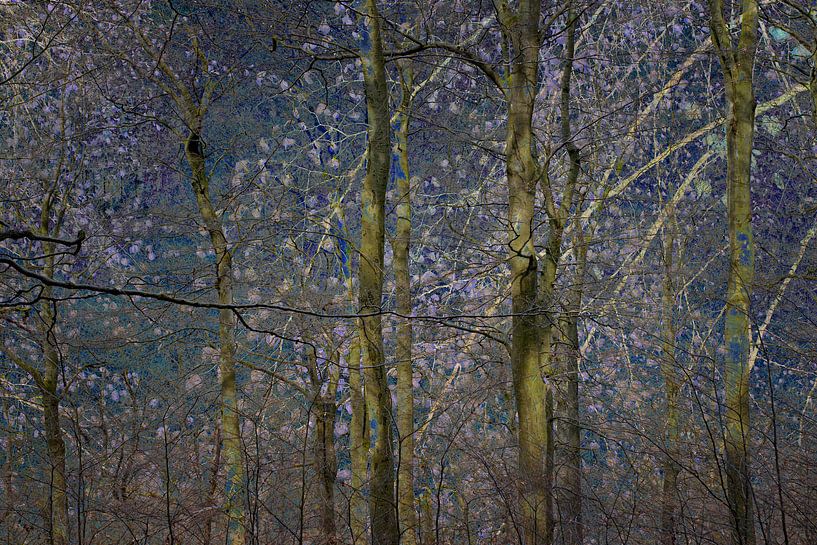forêt d'un conte de fées oriental par Hanneke Luit