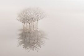 Abstract minimaliste : Ensemble, seuls dans le vide sur Marjolijn van den Berg