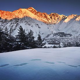 Kazbek berg in Georgië bij zonsondergang von Olga Ilina