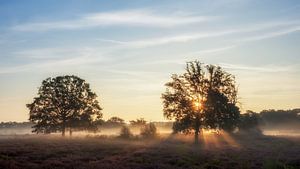 Goodmorning nature van Lex Schulte