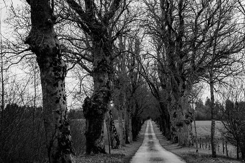 Where to? by anne droogsma