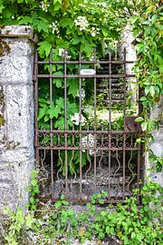 Oud hek in Saint Cirq Lapopie van Ingrid de Vos - Boom