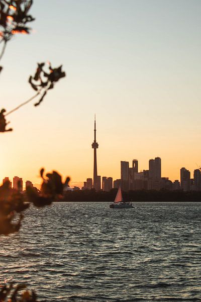 Toronto by Hello Pompoyo