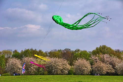 Flugtag