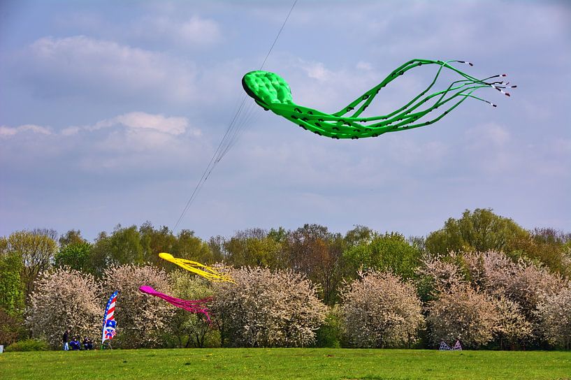 Flugtag van Edgar Schermaul