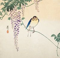 Glyzinie und Schwalbe (um 1900) von Ohara Koson.