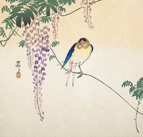 Wisteria and Swallow (ca. 1900) by Ohara Koson.