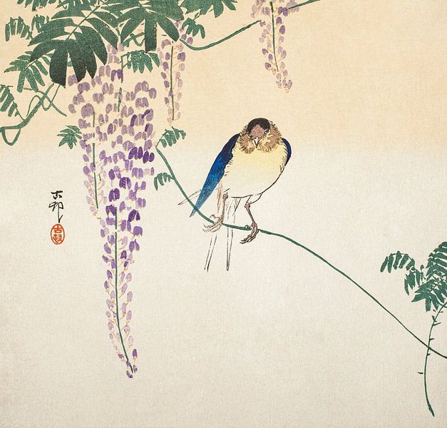 Wisteria and Swallow (ca. 1900) by Ohara Koson. van Studio POPPY