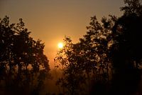 Zonsopkomst