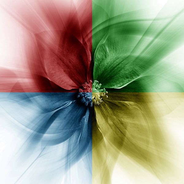Blume in Quadrantenfarben von Klaartje Majoor