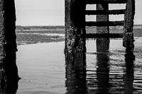 Wadden Sea