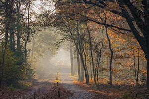 A Spaziergang von Johanna Blankenstein