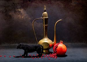 Still life - Dark and Mysterious by Hannie Kassenaar