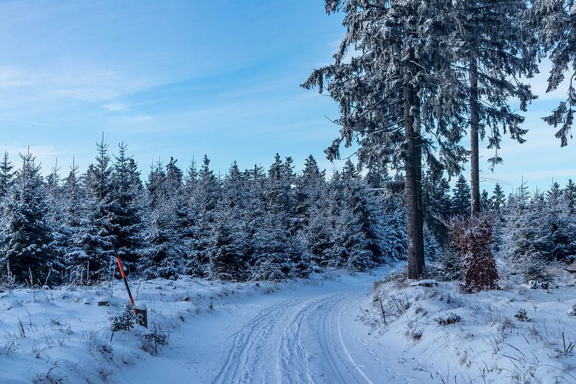 First winter hike on the Rennsteig by Oliver Hlavaty