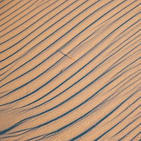 Lijnen in het zand von Jannie de Graaf