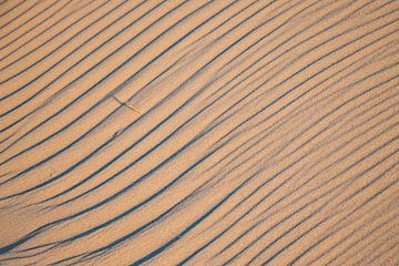 Lijnen in het zand by Jannie de Graaf