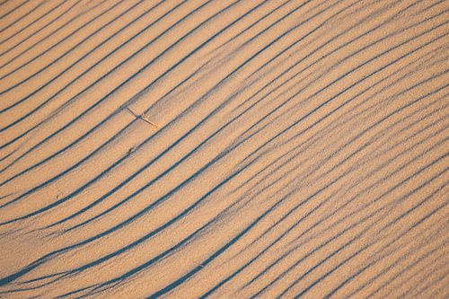 Lijnen in het zand sur Jannie de Graaf