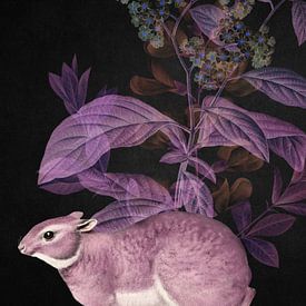 Pink Purple Patagonian von Marja van den Hurk