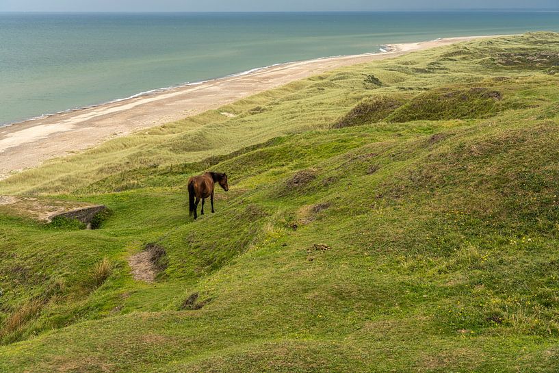 Grönne Strand an der Ostsee in Dänemark von Peter Schickert