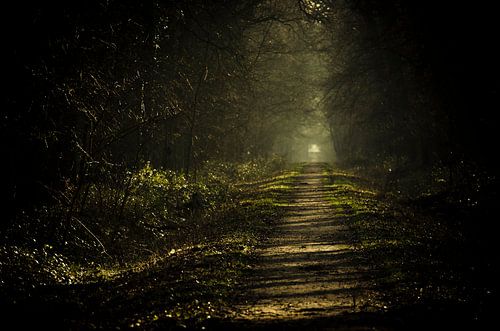 No other path...