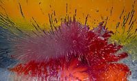 Red abstract