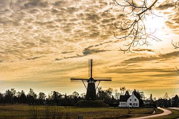 A Dutch windmill in evening light