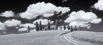 Farmhouse with cypresses, Val d'Orcia, Tuscany, Italy by Markus Lange