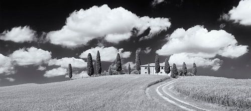 Farmhouse with cypresses, Val d'Orcia, Tuscany, Italy