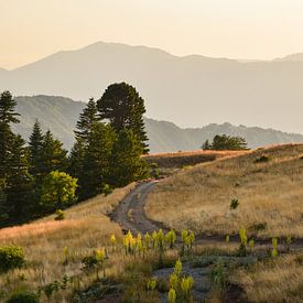 Bjeshket e Gramës - II sur Jarne Buttiens
