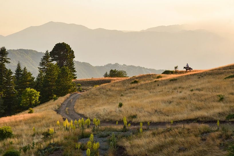 Bjeshket e Gramës, Albanien - II von Jarne Buttiens