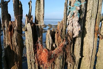 Moddergat, Waddenzee by Taco Ruiten