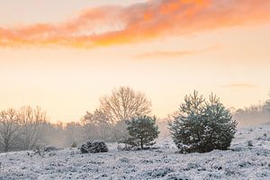 Nationalpark Veluwezoom van Lisa Antoinette Photography