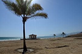 Sandy beach near Mughsayl (Oman) by Alphapics