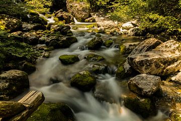 River in the Marguareis National Park by Alexander Ließ
