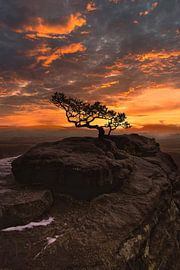 Pin météorologique sur le Lilienstein