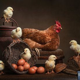 Chicken and chicks by Elles Rijsdijk