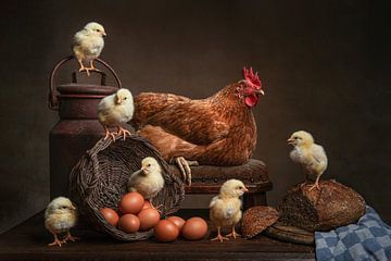 Chicken and chicks by Elles Rijsdijk