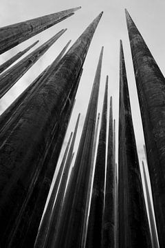 Pointing van Photo_Minuscule