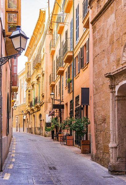 Straße in der Altstadt von Palma de Mallorca, Spanien Balearische Inseln von Alex Winter